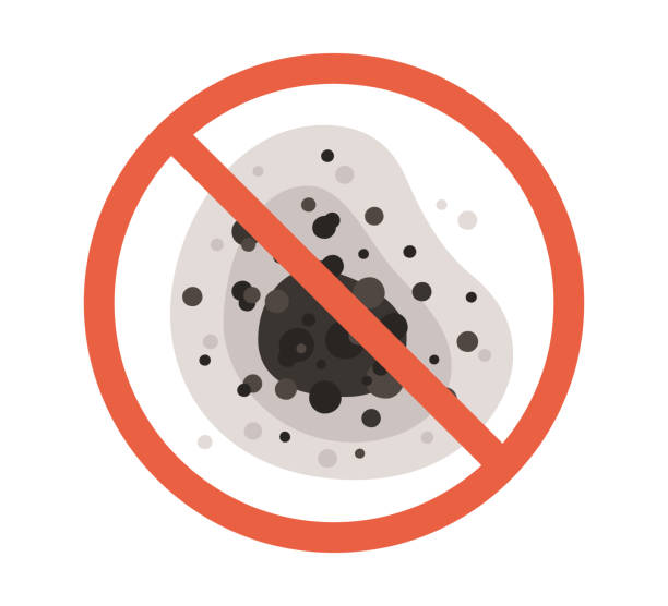 Environmental Consulting for Mold Prevention in Westchase, FL
