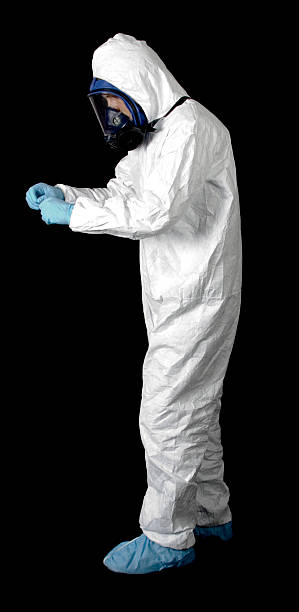 Mold Removal for HVAC Installations in Westchase, FL