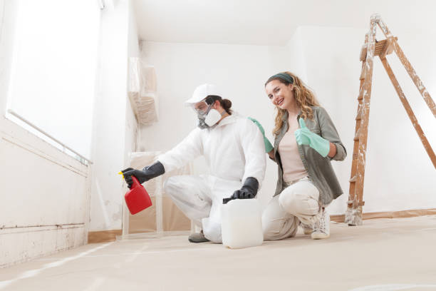 Best Mold Remediation for Healthcare Facilities  in Westchase, FL